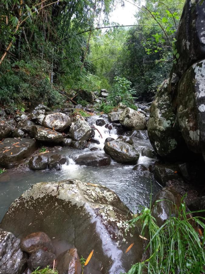 O Verger Saint-Andre Bagian luar foto